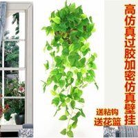 Hoa treo tường mới, cây xanh nhân tạo, trang trí cây xanh trong phòng khách, dây hoa giả treo, dây nhựa trong nhà, giỏ treo Chlorophytum