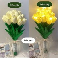 Hoa tulip kèm đèn.