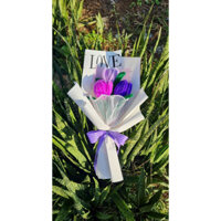 Hoa tulip kẽm nhung- Quà tặng ý nghĩa 20-10