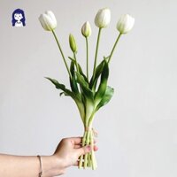 Hoa Tulip Nhân Tạo Hoa Giả Cảm Ứng Thật Cao Su Bó Hoa Thích Hợp Cho Văn Phòng Tiệc Cưới Để Bàn Trang Trí Sân Vườn YRZYT