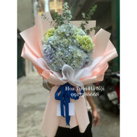 Hoa tươi- Bó hoa cẩm tú cầu