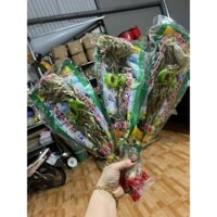 Hoa Tuyết Liên Sơn