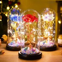 Hoa Vĩnh Cửu, Hoa Hồng, Ngày Nhà Giáo, Cô Giáo, Cô Gái, Bạn Gái, Vợ, Bó Hoa Lãng Mạn, Quà Ngày Lễ Tình Nhân