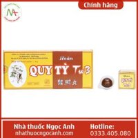 Hoàn Quy Tỳ TW3
