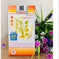 Hoàng thống phong hỗ trợ điều trị bệnh gút