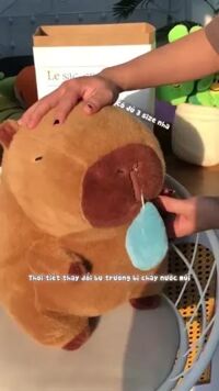 Hoạt Hình Dễ Thương Ngáy capybara capybara Chảy Nước Mũi Gấu Bông Sang Trọng Đồ Chơi Nhồi Bông Búp Bê Sáng Tạo Quà Tặng Cho Bé Gái gấu bông capybara đồ chơi trẻ em