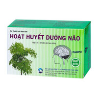 Hoạt Huyết Dưỡng Não PV 100 viên