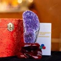 Hốc Thạch Anh Tím Mài Vỏ – 0,46kg – M1130046