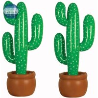 Hoeaden 2 Gói Xương Rồng Bơm Hơi 35 Inch Cây Xương Rồng Chống Đỡ Bãi Biển Phông Nền Ủng Hộ Cho Haw VN