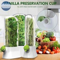 Hoeaden Herb Keeper Hộp đựng thảo mộc Bảo quản Savor bằng nhựa cho Cilantro Mint Parsley Măng tây Chives Posemary VN