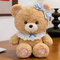 Hội gấu bông mắt sao lấp lánh