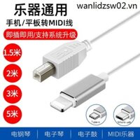 Hollow Bird OTG Adapter Yamaha Đàn Piano Điện MIDI Cáp Dữ Liệu typec Thích Hợp Cho iPhone Kết Nối Thẻ Âm Thanh Trống Điện Tử Miệng Vuông Bàn Phím MIDI USb HOST Chuyển Đổi Cáp Ghi Bên Trong
