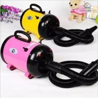 Home Euro - Máy sấy lông chuyên dụng cho chó mèo 2400w - Tặng kèm găng tay ,sữa tắm chó , khăn , ếm, lược chải lông