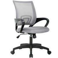 Home Office Chair Ergonomic Desk Chair Mesh Computer Chair with Lumbar Support Armrest Executive Rolling Swivel Adjustable Mid Back Task Chair for ...