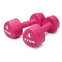 [Homegym] TẠ TAY TAM GIÁC ZIVA CHIC STUDIO