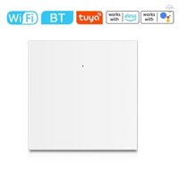Homekit Máy Nước Nóng Công Tắc Nồi Hơi Nước WiFi BLE Chế Độ Kép Công Tắc Đèn Hẹn Giờ Bảng Điều Khiển Công Suất Cao Tương Thích Với Alexa Và Gia Đình Để Điều Khiển Bằng Giọng Nói