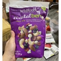 HỖN HỢP HẠT DINH DƯỠNG & TRÁI CÂY SẤY KHÔ WIldRoots Coastal Berry Trail Mix 737g