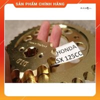 HONDA / MSX 125cc - Nhông sên đĩa DID vàng nhập khẩu cao cấp dành cho Honda MSX 125cc (12LI)