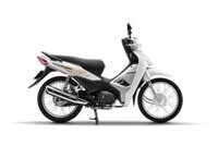 Honda Wave Alpha 110cc - Trắng đen bạc