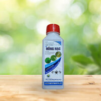 HỒNG HẠT 400ML