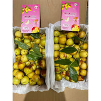 hồng táo vip3 kèm túi xách