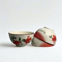Hộp 10 cái chén sứ ăn cơm hoạ tiết sang trọng size 4.5 DGS106