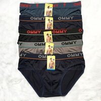 Hộp 10 quần lót nam-thun lạnh-Lưng bản nhỏ LN039