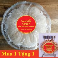 Hộp 100gr Yến sạch lông loại 1 Yến Sào Nha Trang Tặng 1 Hộp Đông Trùng hạ thảo - Thương Hiệu NestViet