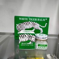 HỘP 12 LỌ 20G CAO XOA BÓP BẠCH HỔ HOẠT LẠC CAO