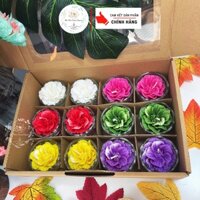 Hộp 12 Ly Hoa Thái, Nến Bơ Dâng Phật Cúng Mụ Cúng Dường , gia tiên, thần tài ,An Toàn Không Khói