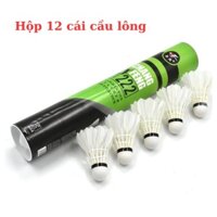HỘP 12 QUẢ CẦU LÔNG