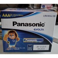 Hộp 12 vỉ Pin AAA Kiềm Evolta Panasonic LR03EG/2B vỉ 2 viên (Hàng Chính Hãng)