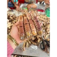 Hộp 1kg Tôm tít (bề bề) bóc vỏ/nõn thịt tôm tích loại lớn  (giao tphcm)