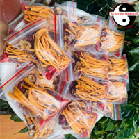 (Hộp 20 gói) Trà Đông trùng hạ thảo tứ vị sấy khô thăng hoa kết hợp kỷ tử Ninh Hạ, táo đỏ Tân Cương, long nhãn Hưng Yên