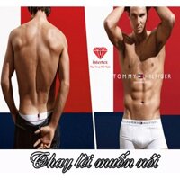Hộp 3 Quần Lót (quần Sịp) TOMY003 Cao Cấp - Sịp đùi boxer