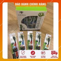 Hộp 30 chiếc Bàn chải than tre Hàn Quốc ( XẢ KHO), Hình ảnh video thật