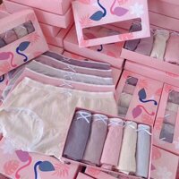 HỘP 5 QUẦN LÓT HỒNG HẠC, THIÊN NGA COTTON VIỀN REN CHÁT MỀM CHO NỮ