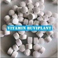 Hộp 500 viên vitamin BUVIPLANT dinh dưỡng cho các loại cây