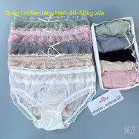 [Hộp 5c] Quần Lót Ren Lưới Tàng Hình Cao Cấp Siêu Mềm Mại 2024