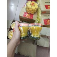 Hộp 6 cốc nến bơ T09 thân thiện môi trường