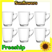 Hộp 6 Ly Quai Thủy Tinh UG 343 Thái Lan 340ml - Sunflowers