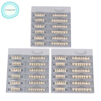 Hộp 84 Răng Nhựa a2 Nhiều Màu Sắc