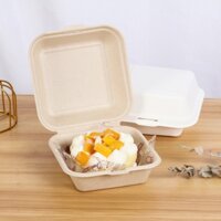 Hộp Bã Mía Đựng Bánh Bento, Đồ Ăn Set 50c