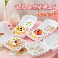 Hộp Bánh Đóng Gói Hamburger Tiramisu Dùng Một Lần Thân Thiện Với Môi Trường Sinh Học Dã Ngoại Bento Hộp Cắm Trại Ngoài Trời De