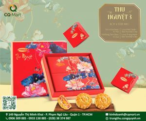 Hộp bánh trung thu Bibica thu nguyệt 4 bánh