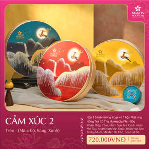 Hộp bánh trung thu Maison Cảm xúc 6 bánh