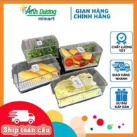 Hộp Bảo Quản Rau Quả 306 Hộp Nhựa Đựng Thực Phẩm Hộp Nhựa Đa Năng Cao Cấp Song Long - Hàng Việt Nam Chất Lượng Cao