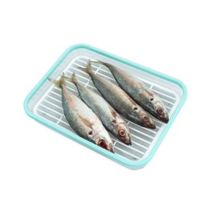 Hộp bảo quản thực phẩm ngăn đông BioZone KB-FR1200S