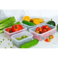 Hộp bảo quản thực phẩm ngăn mát SUNHOUSE BioZone 440ml, 680ml, 980ml, 2500ml, 2600ml,3600ml,4500ml,6500ml,7500ml, 8700ml