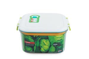 Hộp bảo quản thực phẩm thông minh BioZone vuông KB-SM2000S1